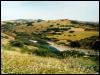 Tavira Landscape