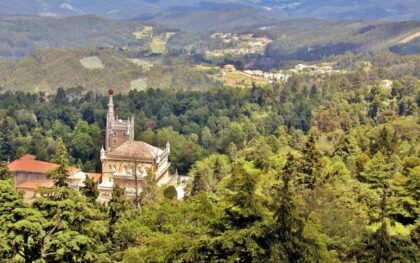 Buçaco Forest - central Portugal