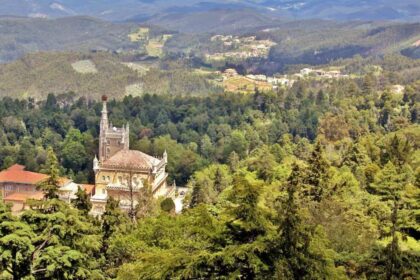 Buçaco Forest - central Portugal