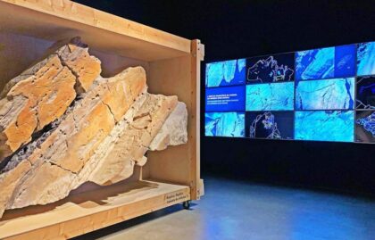 Foz Côa Rock Art - Portugal