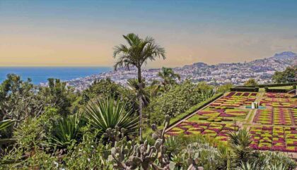 Botanical Gardens - Funchal