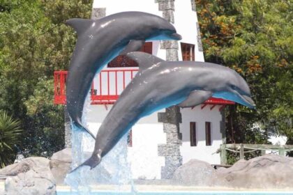 Lisbon Zoo - Portugal