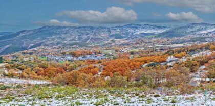 Montesinho - Portugal