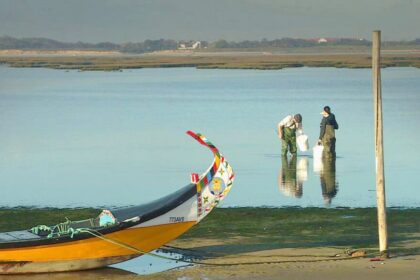Ria de Aveiro - Portugal