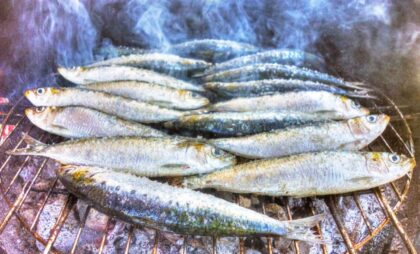Sardines - Portugal