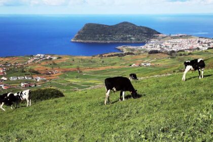 Terceira - Azores