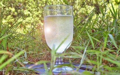 Vinho Verde - Portugal