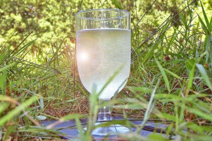 Vinho Verde - Portugal