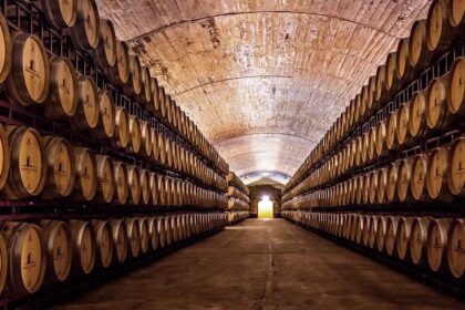 Alentejo Winery - Portugal